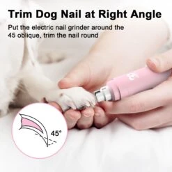 Casfuy Professional 2-Speed Quiet Dog Nail Grinder -Cozy Paws 762886 PT5. AC SS1800 V1676304836