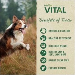 Freshpet Vital Chicken, Beef, Salmon & Egg Recipe Grain-Free Fresh Dog Food -Cozy Paws 764046 PT5. AC SS1800 V1694010350