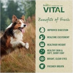 Freshpet Vital Beef & Lamb Grain-Free Fresh Dog Food -Cozy Paws 764062 PT5. AC SS1800 V1694011731