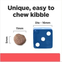 Hill's Prescription Diet ONC Care Dry Dog Food -Cozy Paws 765326 PT5. AC SS1800 V1675112982