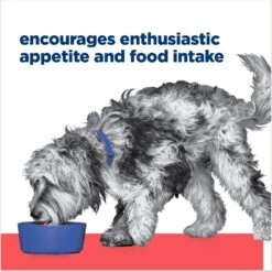 Hill's Prescription Diet ONC Care Chicken & Vegetable Stew Wet Dog Food -Cozy Paws 765358 PT5. AC SS1800 V1675112980