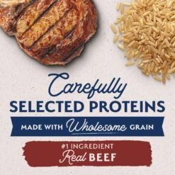 Natural Balance Limited Ingredient Beef & Brown Rice Small Breed Recipe Dry Dog Food -Cozy Paws 765542 PT2. AC SS1800 V1676476029