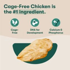 Jinx Jr Whole Grain Chicken Recipe Natural Dry Puppy Food, 4-lb Bag -Cozy Paws 765598 PT2. AC SS1800 V1675201472