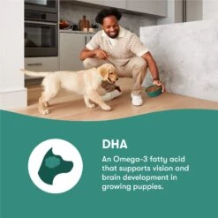 Jinx Jr Whole Grain Chicken Recipe Natural Dry Puppy Food, 4-lb Bag -Cozy Paws 765598 PT3. AC SS1800 V1675201411