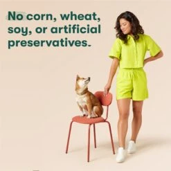 Jinx Jr Whole Grain Chicken Recipe Natural Dry Puppy Food, 4-lb Bag -Cozy Paws 765598 PT6. AC SS1800 V1675201469