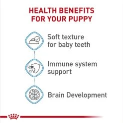 Royal Canin Size Health Nutrition Medium Puppy Thin Slices In Gravy Wet Dog Food, 13-oz, Case Of 12 -Cozy Paws 766710 PT3. AC SS1800 V1697216176