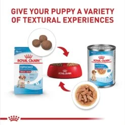 Royal Canin Size Health Nutrition Medium Puppy Thin Slices In Gravy Wet Dog Food, 13-oz, Case Of 12 -Cozy Paws 766710 PT4. AC SS1800 V1697213092