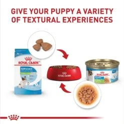 Royal Canin Size Health Nutrition X-Small Puppy Thin Slices In Gravy Wet Dog Food, 3-oz, Case Of 24 -Cozy Paws 766726 PT5. AC SS1800 V1697212367