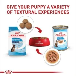 Royal Canin Size Health Nutrition Large Puppy Thin Slices In Gravy Wet Dog Food, 13-oz, Case Of 12 -Cozy Paws 766742 PT5. AC SS1800 V1697216695