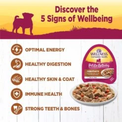 Wellness Petite Entrees Mini-Filets With Roasted Beef, Carrots & Red Peppers In Gravy Grain-Free Wet Dog Food, 3-oz Tray, Case Of 24 -Cozy Paws 76677 PT3. AC SS1800 V1657661023