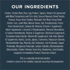 Instinct Raw Boost Large Breed Puppy Grain-Free Recipe With Real Chicken & Freeze-Dried Raw Pieces Dry Dog Food -Cozy Paws 76866 PT5. AC SS1800 V1564521457