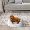Best Friends By Sheri Soothe & Snooze Lounge Lux Memory Foam Rectangular Orthopedic Bolster Dog Bed -Cozy Paws 774134 MAIN. AC SS1800 V1696443429