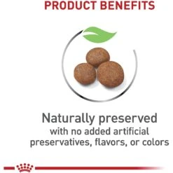 Royal Canin Size Health Nutrition Large Puppy Dry Dog Food -Cozy Paws 774142 PT3. AC SS1800 V1700156591