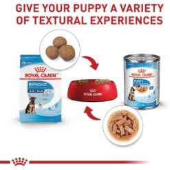 Royal Canin Size Health Nutrition Large Puppy Dry Dog Food -Cozy Paws 774142 PT5. AC SS1800 V1700158615