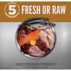 ORIJEN Puppy Recipe Poultry & Fish Pate Grain-Free Wet Dog Food & ORIJEN Puppy Grain-Free Dry Puppy Food -Cozy Paws 774390 PT4. AC SS1800 V1684453120