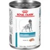 Royal Canin Veterinary Diet Adult Vegetarian Canned Dog Food 1 Royal Canin Veterinary Diet Adult Vegetarian Canned Dog Food -Cozy Paws 77541 MAIN. AC SS1800 V1596585374