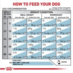 Royal Canin Veterinary Diet Adult Vegetarian Canned Dog Food -Cozy Paws 77541 PT3. AC SS1800 V1698155345