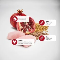 Farmina Natural & Delicious Chicken & Ancestral Low-Grain Mini Breed Formula Dry Dog Food -Cozy Paws 77819 PT4. AC SS1800 V1516220211