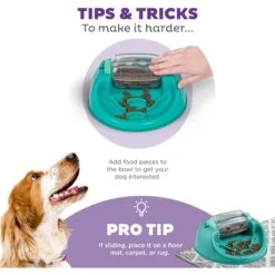 Nina Ottosson By Outward Hound Spin N' Eat Dog Food Puzzle Feeder, Green -Cozy Paws 778214 PT3. AC SS1800 V1694439634
