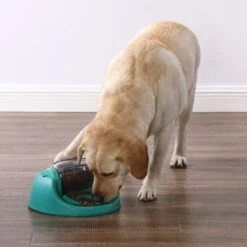Nina Ottosson By Outward Hound Spin N' Eat Dog Food Puzzle Feeder, Green -Cozy Paws 778214 PT4. AC SS1800 V1694287366