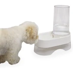 Richell Elevated Gravity Water Dispenser Dog & Cat Bowl -Cozy Paws 778286 PT3. AC SS1800 V1677103202