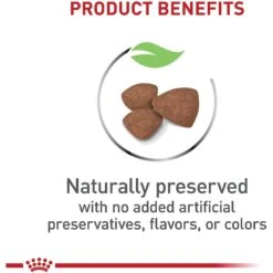 Royal Canin Size Health Nutrition Small Puppy Dry Dog Food -Cozy Paws 778790 PT3. AC SS1800 V1676654024