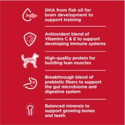 Hill's Science Diet Puppy Large Breed Lamb Meal & Brown Rice Recipe Dry Dog Food -Cozy Paws 779126 PT2. AC SS1800 V1676907196