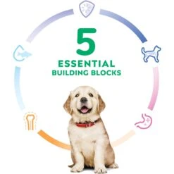 Hill's Science Diet Puppy Large Breed Lamb Meal & Brown Rice Recipe Dry Dog Food -Cozy Paws 779126 PT4. AC SS1800 V1676751580