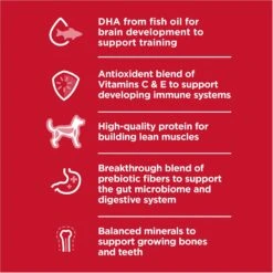 Hill's Science Diet Puppy Large Breed Chicken & Brown Rice Recipe Dry Dog Food -Cozy Paws 779142 PT2. AC SS1800 V1676907199