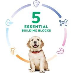 Hill's Science Diet Puppy Large Breed Chicken & Brown Rice Recipe Dry Dog Food -Cozy Paws 779142 PT4. AC SS1800 V1676748535