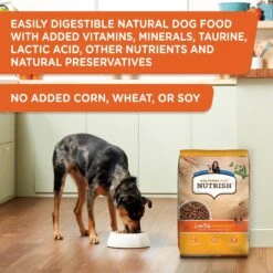 Rachael Ray Nutrish Limited Ingredient Lamb Meal & Brown Rice Recipe Dry Dog Food -Cozy Paws 77994 PT4. AC SS1800 V1692806348