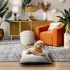 Max & Marlow Plush Pillow Cat & Dog Bed, Large -Cozy Paws 780718 MAIN. AC SS1800 V1678993238