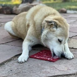 SodaPup Love Hearts E-Mat Dog Lick Mat, Large, Red -Cozy Paws 781014 PT5. AC SS1800 V1685497355
