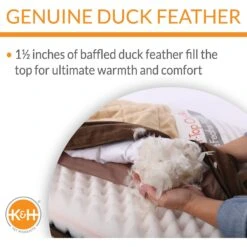 K&H Pet Products Feather-Top Orthopedic Pillow Dog Bed, Charcoal -Cozy Paws 78519 PT3. AC SS1800 V1637623926
