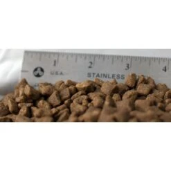 Blackwood Salmon Meal & Field Pea Recipe Grain-Free Dry Dog Food -Cozy Paws 79172 PT1. AC SS1800 V1550528838