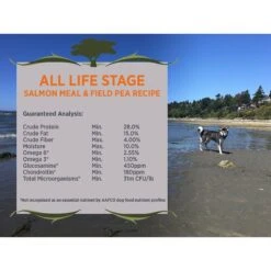 Blackwood Salmon Meal & Field Pea Recipe Grain-Free Dry Dog Food -Cozy Paws 79172 PT3. AC SS1800 V1550528840