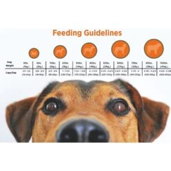 Blackwood Salmon Meal & Field Pea Recipe Grain-Free Dry Dog Food -Cozy Paws 79172 PT4. AC SS1800 V1550528840