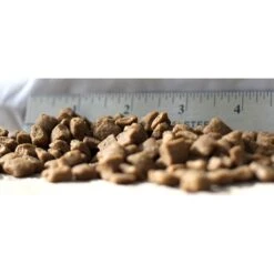 Blackwood Chicken Meal & Field Pea Recipe Grain-Free Dry Dog Food -Cozy Paws 79175 PT1. AC SS1800 V1550528849