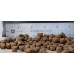 Blackwood Chicken Meal & Rice Recipe Puppy Growth Diet Dry Dog Food -Cozy Paws 79176 PT1. AC SS1800 V1550528853