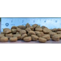 Blackwood Whitefish Meal & Oatmeal Recipe Large Breed Adult Dry Dog Food -Cozy Paws 79204 PT1. AC SS1800 V1550529131