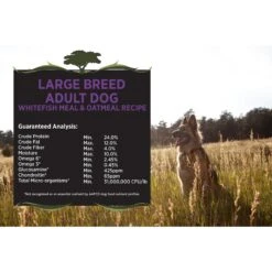 Blackwood Whitefish Meal & Oatmeal Recipe Large Breed Adult Dry Dog Food -Cozy Paws 79204 PT3. AC SS1800 V1550529134