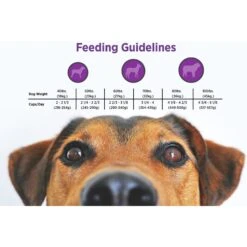 Blackwood Whitefish Meal & Oatmeal Recipe Large Breed Adult Dry Dog Food -Cozy Paws 79204 PT4. AC SS1800 V1550529136