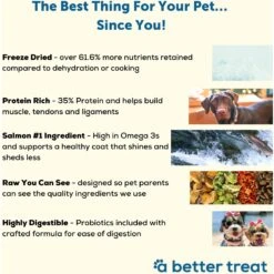 A Better Treat Raw Salmon Dog Freeze-Dried Food -Cozy Paws 793886 PT2. AC SS1800 V1677693645