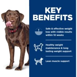 Hill's Science Diet Adult Perfect Weight Large Breed Chicken Dry Dog Food -Cozy Paws 794894 PT4. AC SS1800 V1679494656