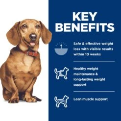 Hill's Science Diet Adult Perfect Weight Small & Mini Chicken Recipe Dry Dog Food -Cozy Paws 794902 PT6. AC SS1800 V1682950512