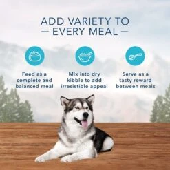 Blue Buffalo Wilderness Adult High Protein Natural Chicken & Wholesome Grains Dry Dog Food & Blue Buffalo Wilderness Beef & Chicken Grill Grain-Free Canned Dog Food -Cozy Paws 796158 PT8. AC SS1800 V1678140659