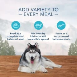 Blue Buffalo Wilderness Senior High Protein Natural Chicken & Wholesome Grains Dry Dog Food & Blue Buffalo Wilderness Turkey & Chicken Grill Grain-Free Senior Canned Dog Food -Cozy Paws 796166 PT8. AC SS1800 V1678140719