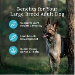 Blue Buffalo Wilderness Large Breed Adult High Protein Natural Chicken & Wholesome Grains Dry Dog Food & Blue Buffalo Wilderness Beef & Chicken Grill Grain-Free Canned Dog Food -Cozy Paws 796214 PT4. AC SS1800 V1678140341