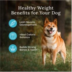 Blue Buffalo Wilderness Healthy Weight Adult High Protein Natural Chicken & Wholesome Grains Dry Dog Food & Blue Buffalo Wilderness Trail Treats Grain-Free Duck Biscuits Dog Treats -Cozy Paws 796246 PT4. AC SS1800 V1678140285