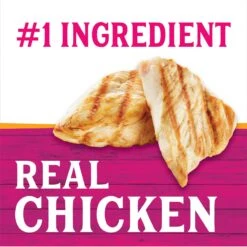 Triumph Chicken, Rice 'N Vegetable Formula Canned Dog Food -Cozy Paws 79624 PT2. AC SS1800 V1598311857